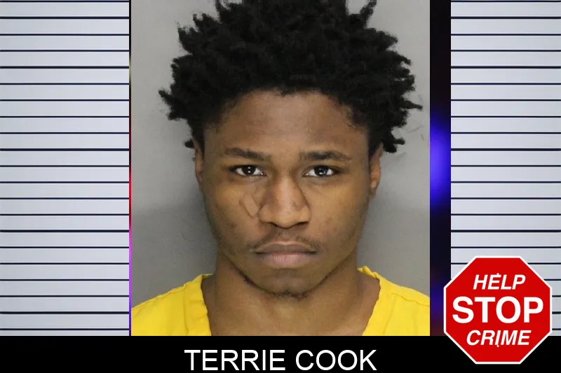 Terrie Cook mugshot