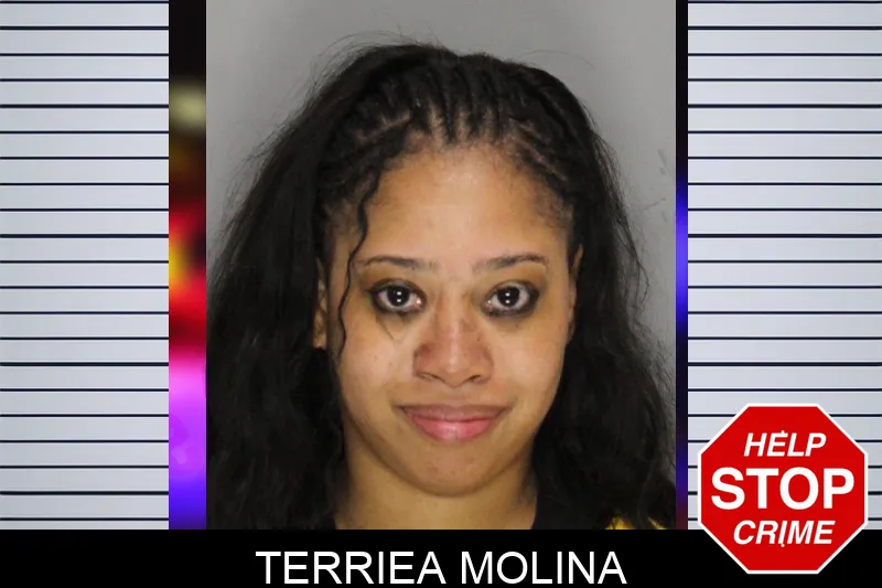 Terriea Molina mugshot