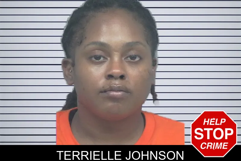 Terrielle Johnson mugshot
