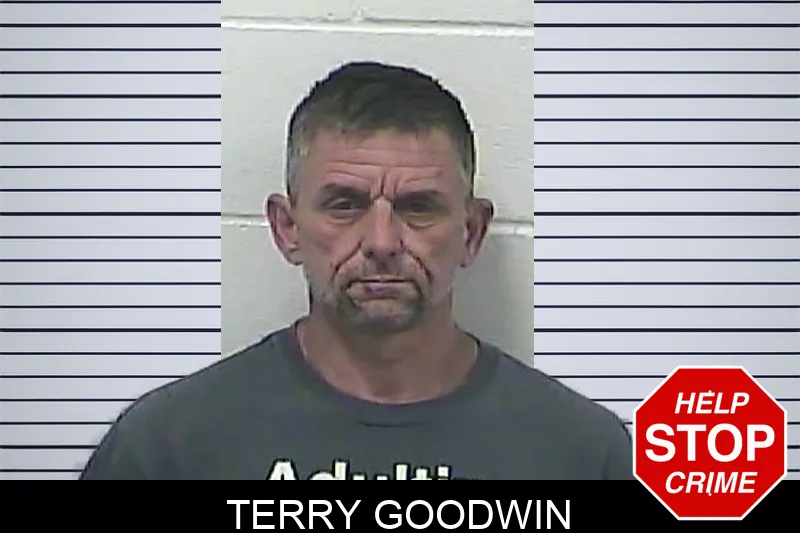 Terry Goodwin mugshot – Dawson County , Georgia Terry Goodwin mugshot