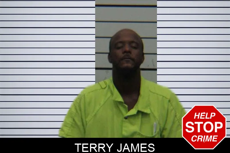 Terry James mugshot – Turner County , Georgia Terry James mugshot