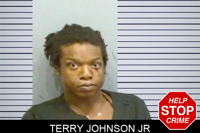 Terry Johnson Jr mugshot