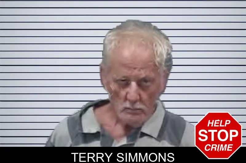 Terry Simmons mugshot
