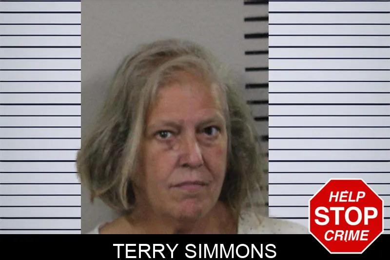 Terry Simmons mugshot