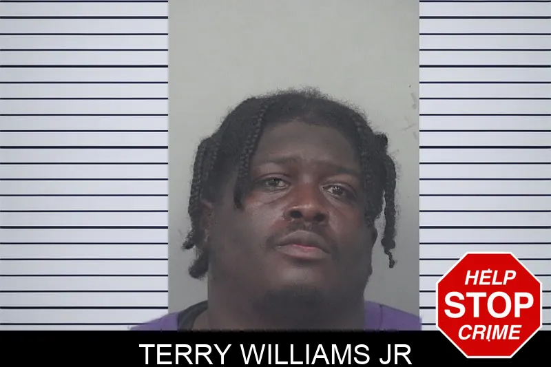 Terry Williams Jr mugshot
