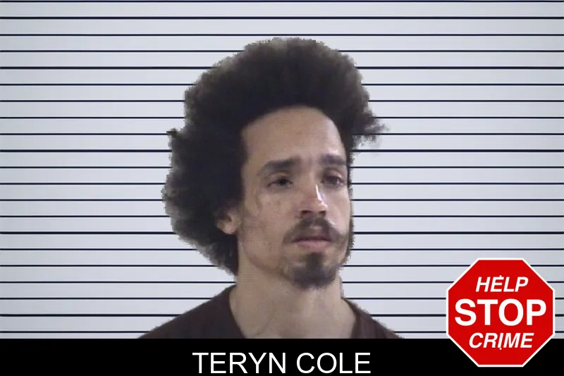 Teryn Cole mugshot