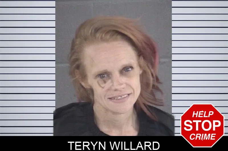 Teryn Willard mugshot – Spalding County , Georgia Teryn Willard mugshot