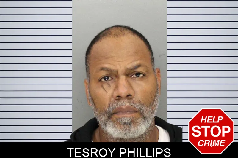 Tesroy Phillips mugshot