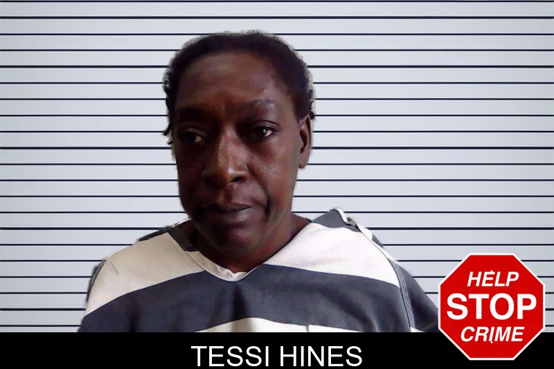 Tessi Hines mugshot