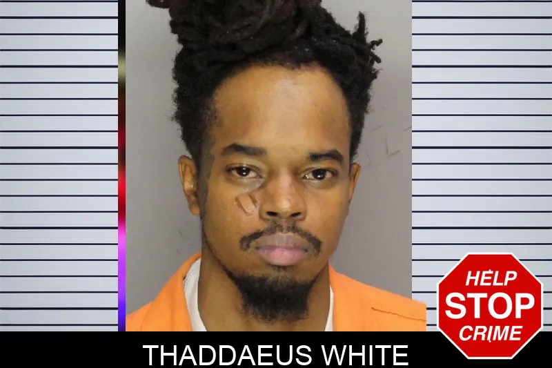Thaddaeus White mugshot – Cobb County , Georgia Thaddaeus White mugshot
