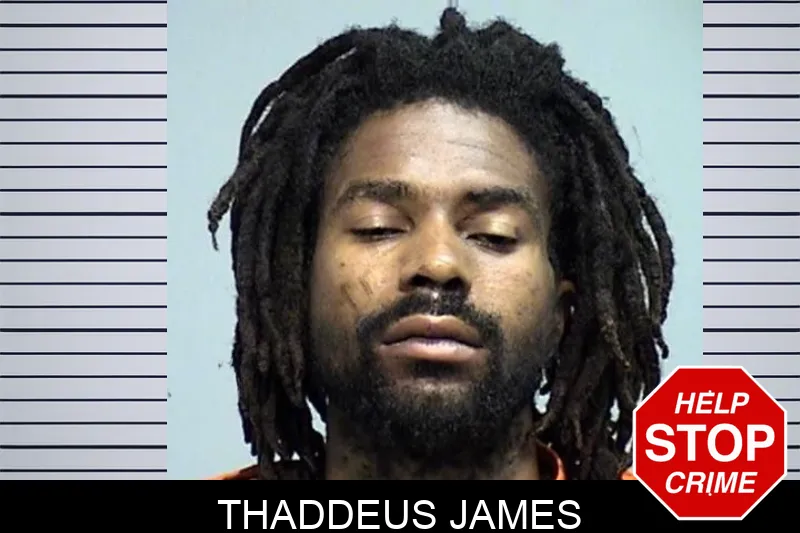 Thaddeus James mugshot – Effingham County , Georgia Thaddeus James mugshot