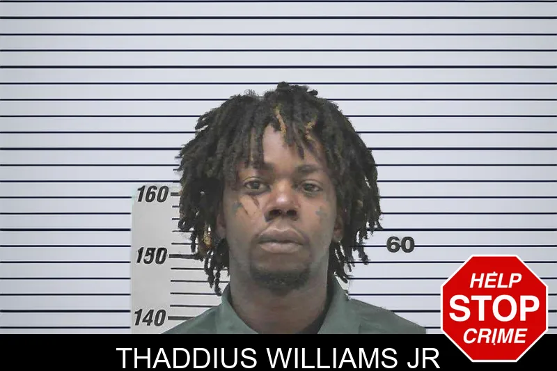 Thaddius Williams Jr mugshot