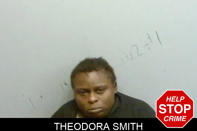 Theodora Smith mugshot – Fulton County , Georgia Theodora Smith mugshot