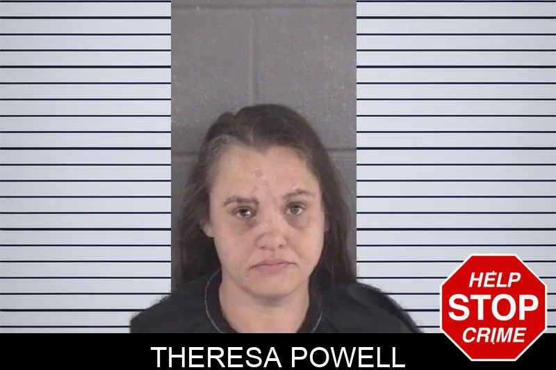 Theresa Powell mugshot – Spalding County , Georgia Theresa Powell mugshot