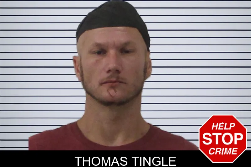 Thomas Tingle mugshot – Johnson County , Georgia Thomas Tingle mugshot