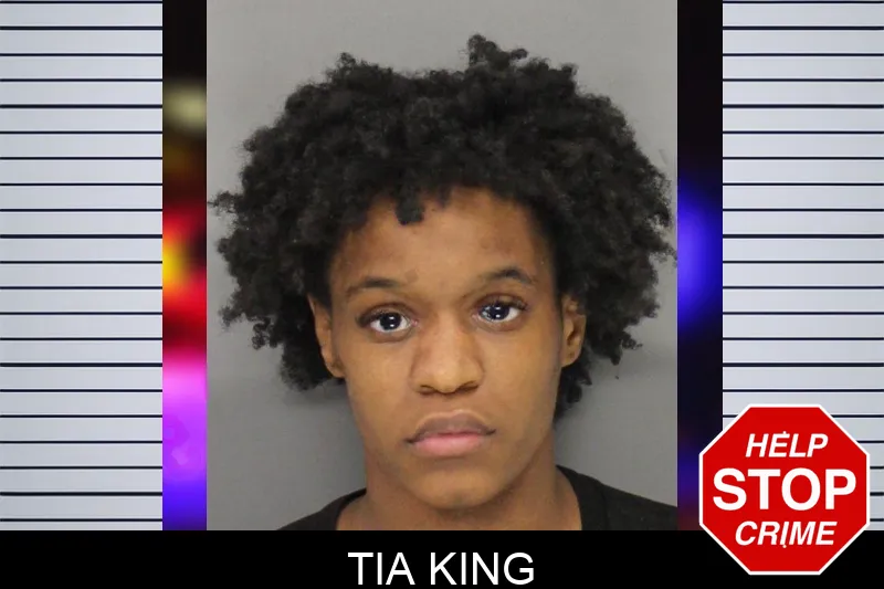Tia King mugshot