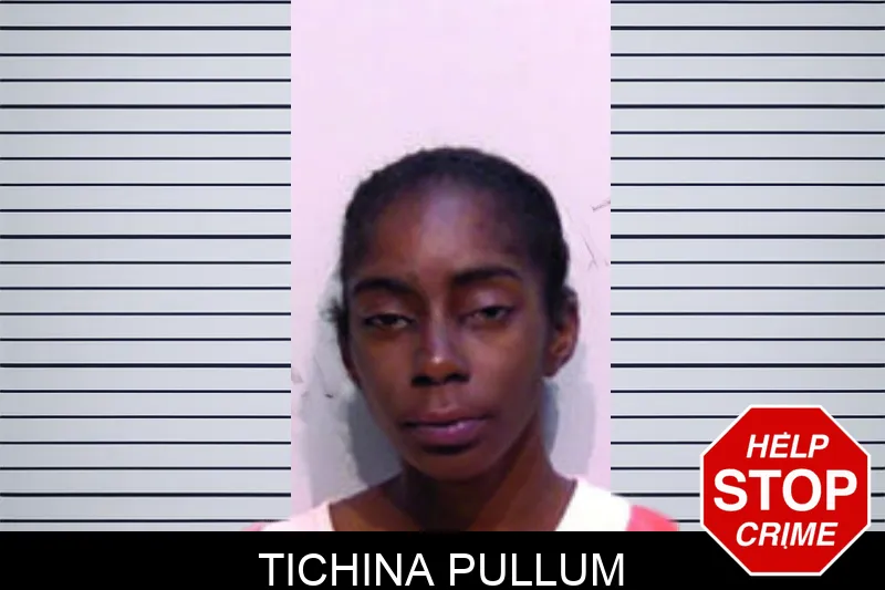 Tichina Pullum mugshot – Bartow County , Georgia Tichina Pullum mugshot