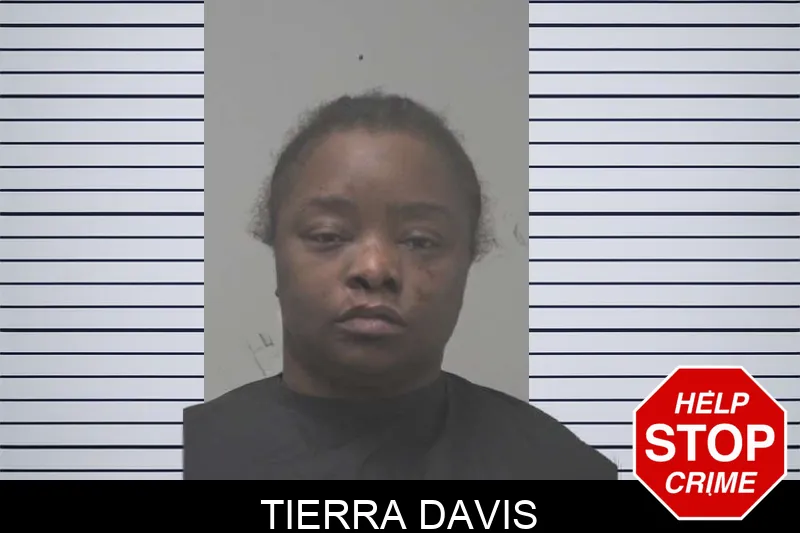 Tierra Davis mugshot – Coweta County , Georgia Tierra Davis mugshot
