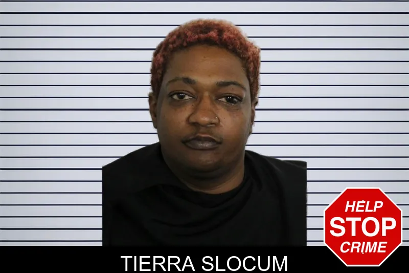 Tierra Slocum mugshot