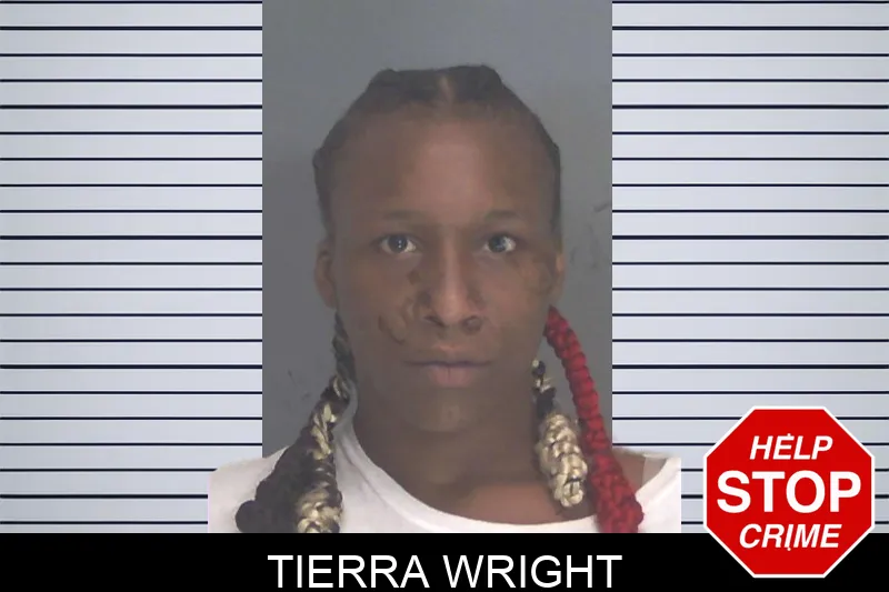 Tierra Wright mugshot