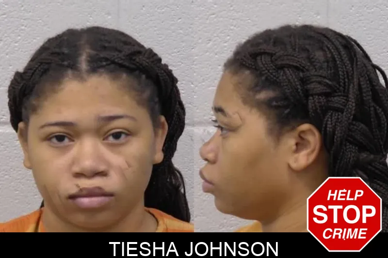 Tiesha Johnson mugshot