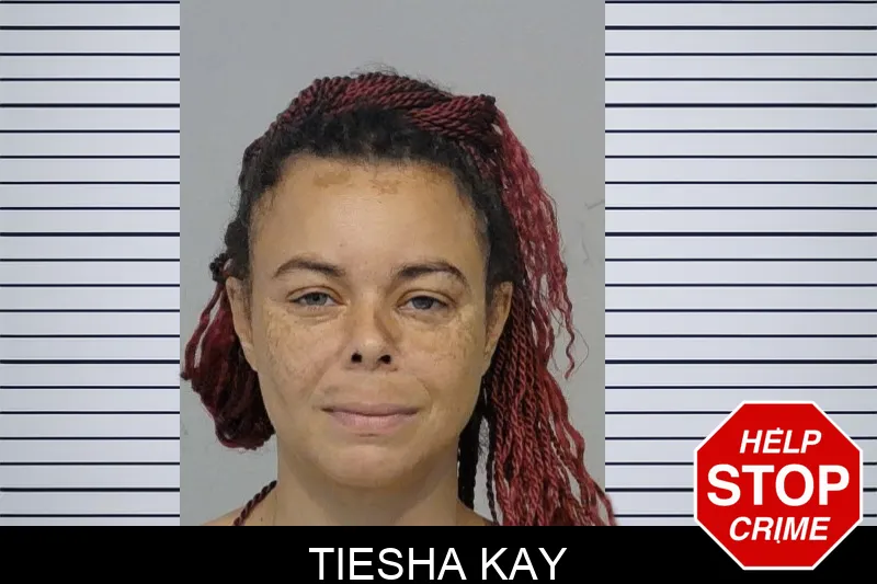 Tiesha Kay mugshot – Bibb County , Georgia Tiesha Kay mugshot