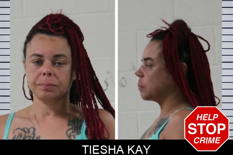 Tiesha Kay mugshot