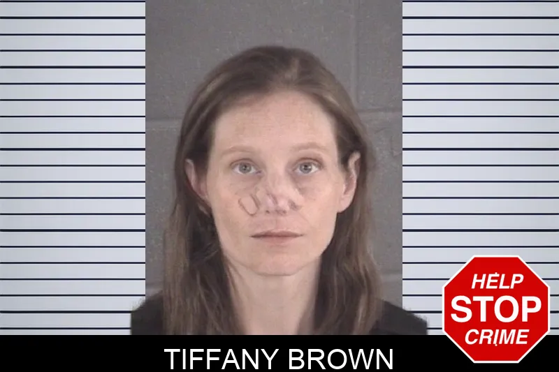 Tiffany Brown mugshot