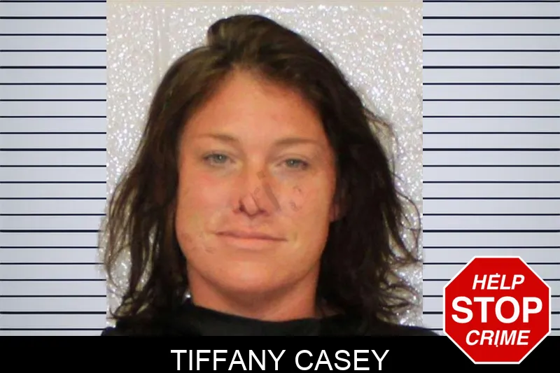Tiffany Casey mugshot