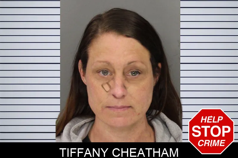 Tiffany Cheatham mugshot