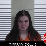 Tiffany Collis mugshot – Fannin County , Georgia Tiffany Collis mugshot