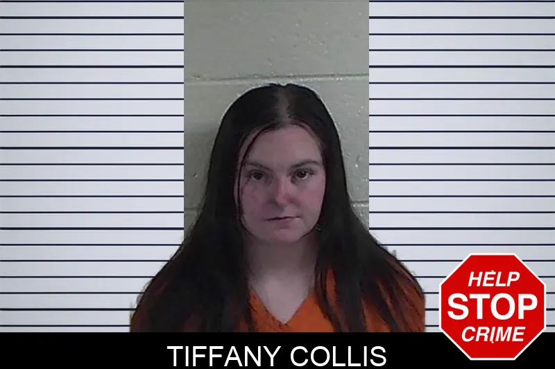 Tiffany Collis mugshot – Fannin County , Georgia Tiffany Collis mugshot