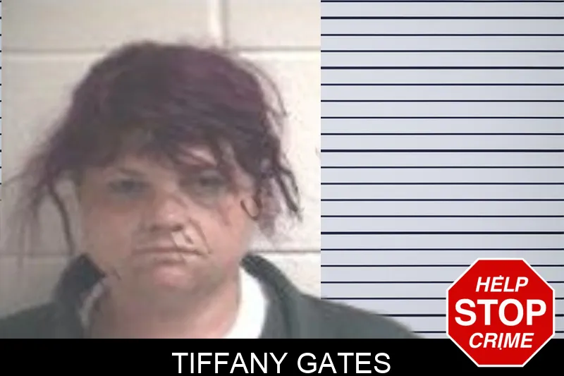 Tiffany Gates mugshot