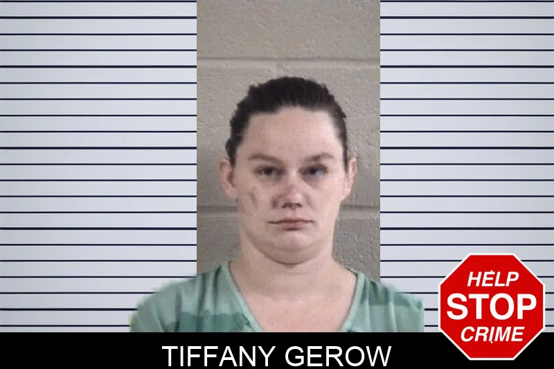 Tiffany Gerow mugshot
