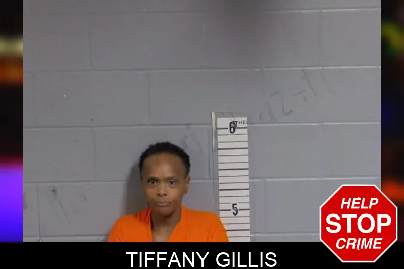 Tiffany Gillis mugshot – Candler County , Georgia Tiffany Gillis mugshot