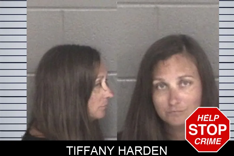 Tiffany Harden mugshot – Barrow County , Georgia Tiffany Harden mugshot