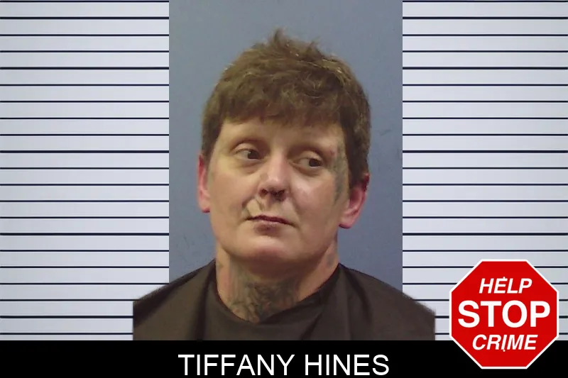 Tiffany Hines mugshot