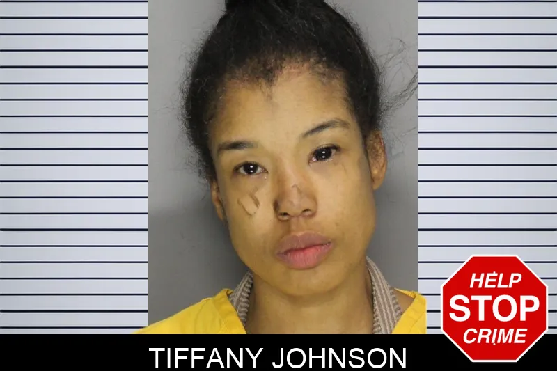 Tiffany Johnson mugshot – Cobb County , Georgia Tiffany Johnson mugshot