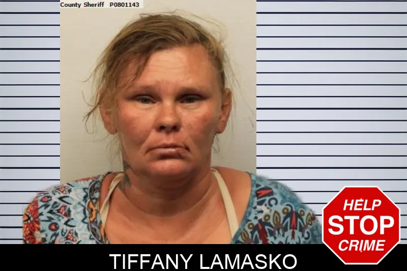 Tiffany Lamasko mugshot – Chatham County , Georgia Tiffany Lamasko mugshot