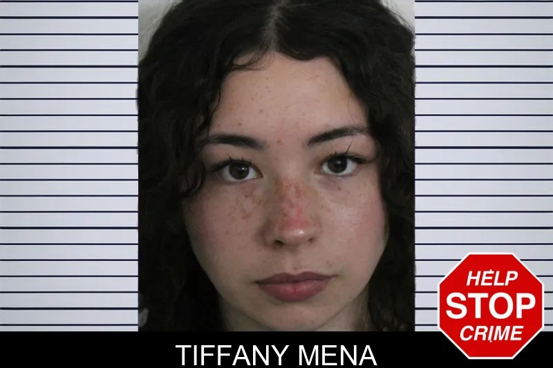 Tiffany Mena mugshot