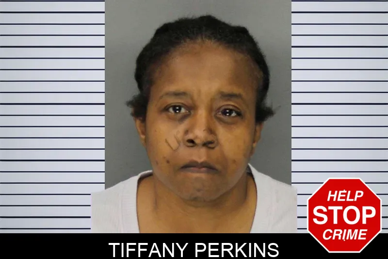 Tiffany Perkins mugshot