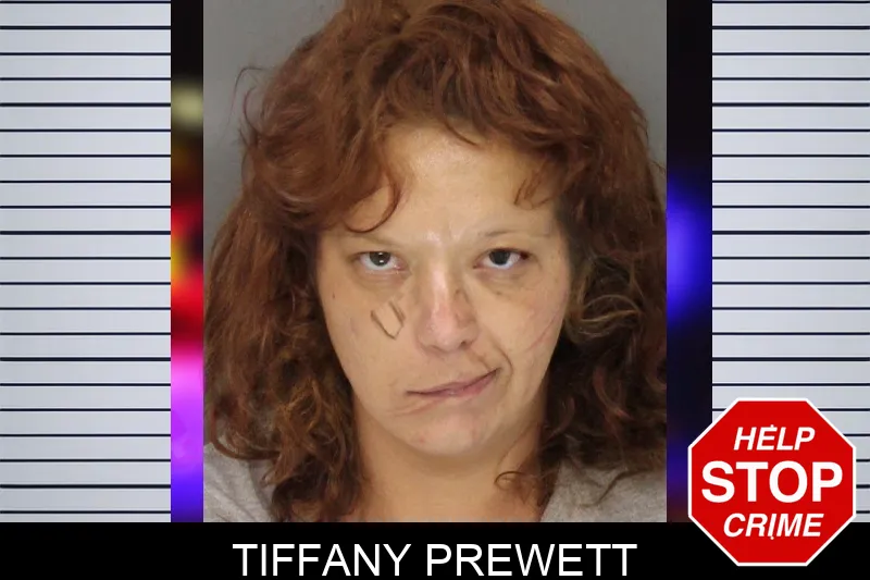 Tiffany Prewett mugshot – Cobb County , Georgia Tiffany Prewett mugshot