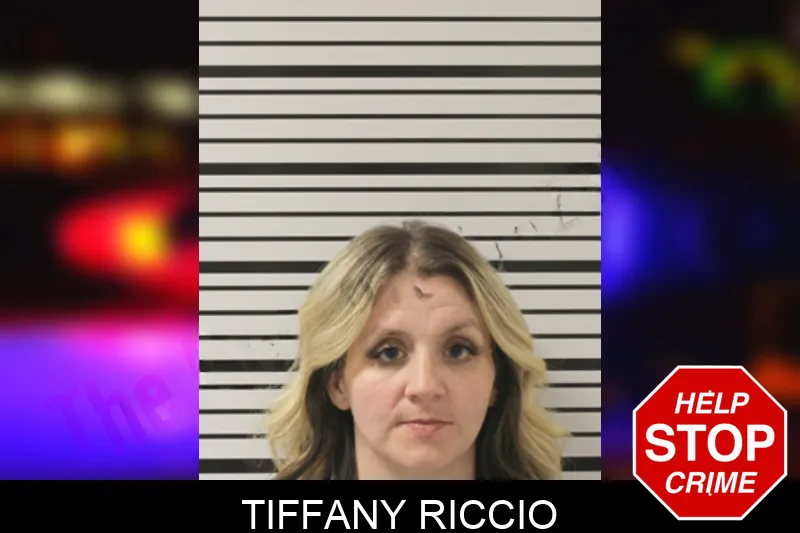 Tiffany Riccio mugshot – Toombs County , Georgia Tiffany Riccio mugshot