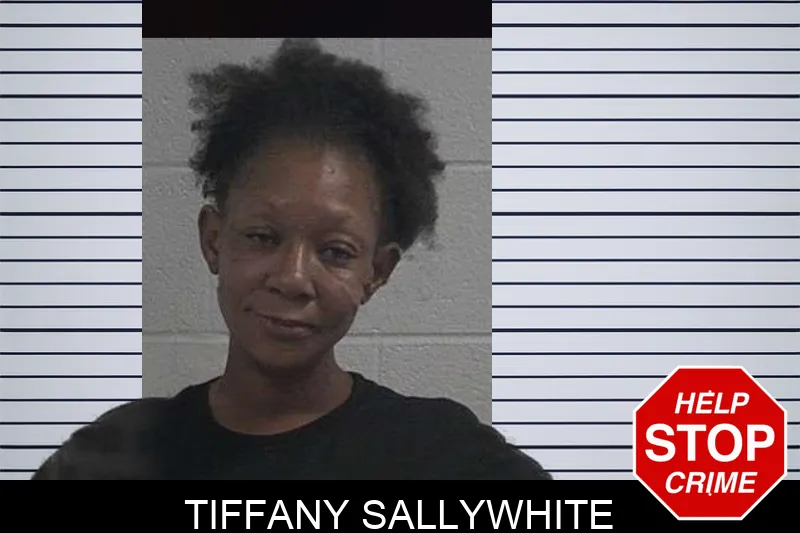 Tiffany Sallywhite mugshot – McDuffie County , Georgia Tiffany Sallywhite mugshot