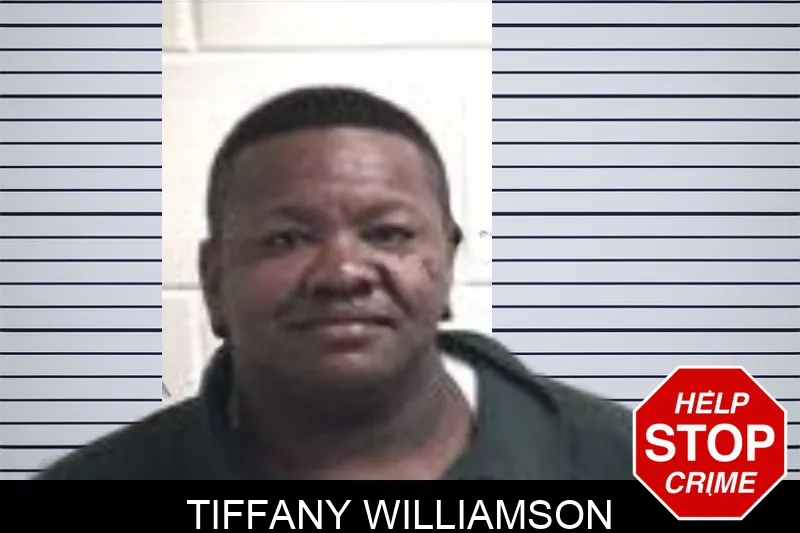 Tiffany Williamson mugshot – Henry County , Georgia Tiffany Williamson mugshot