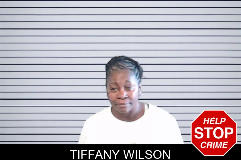 Tiffany Wilson mugshot