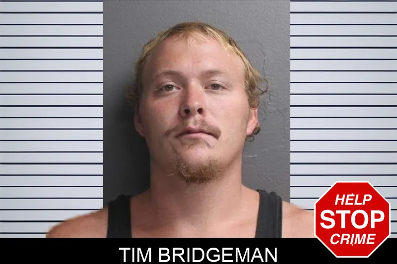 Tim Bridgeman mugshot