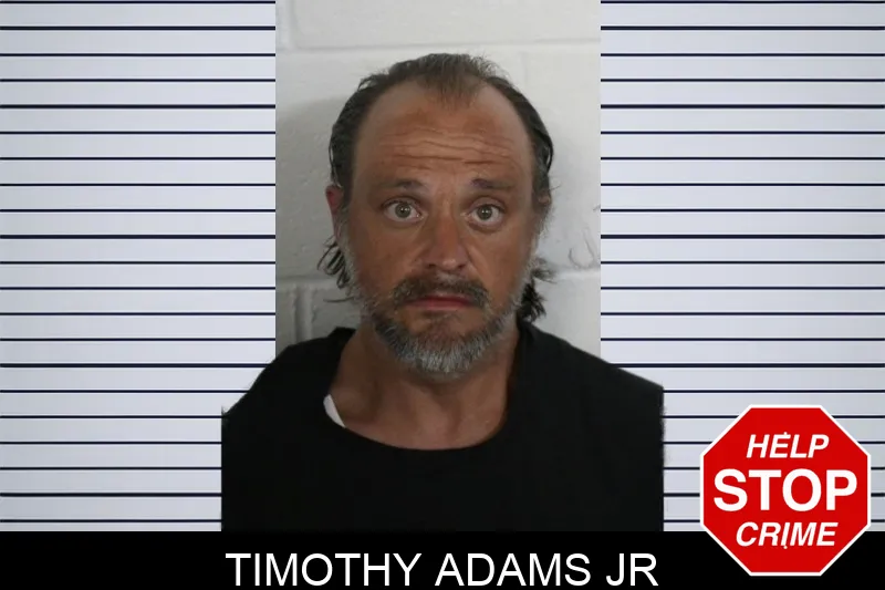 Timothy Adams Jr mugshot