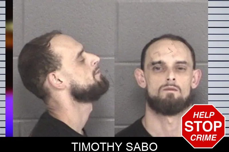 Timothy Sabo mugshot