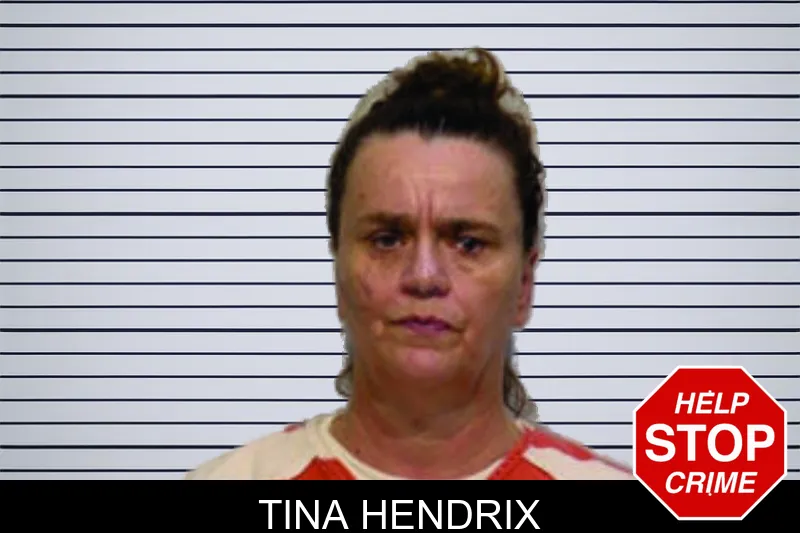 Tina Hendrix mugshot